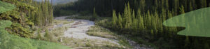 State of the Watershed