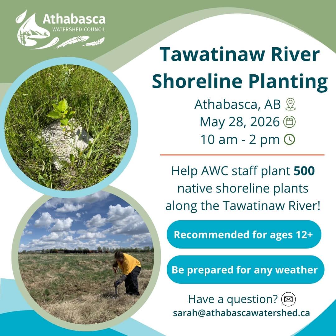 Tawatinaw River Shoreline Planting in Athabasca on May 28, 2026 from 10AM to 2PM