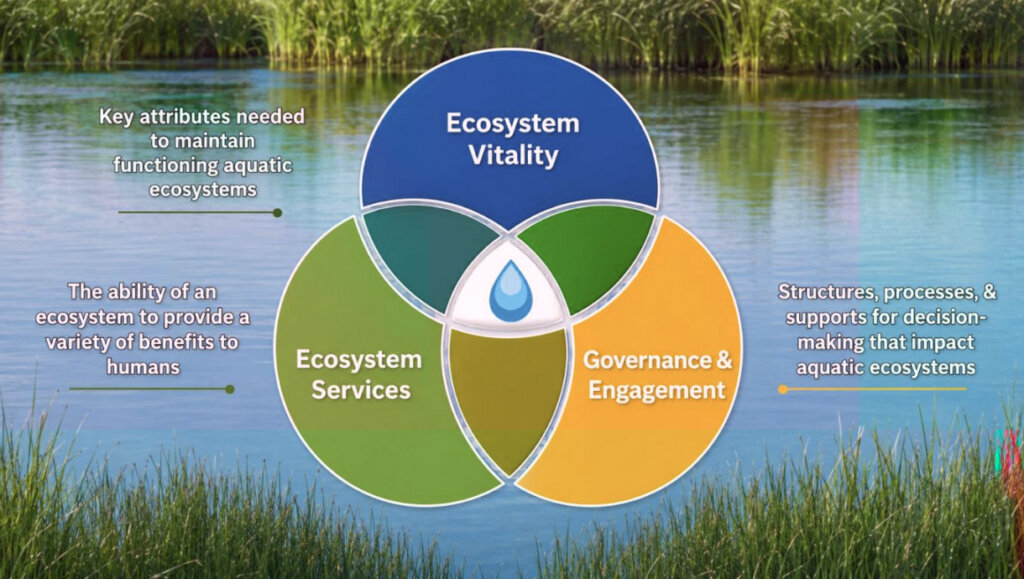 Ecosystem Vitality in a trinity with Ecosystem Services and Governance & Engagement.